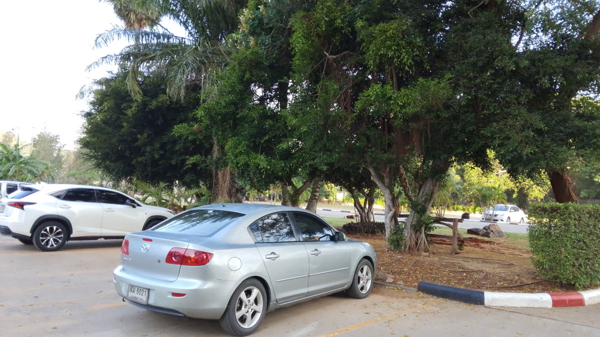 รูป ขายห้องพักริมทะเลและวิวทะเลพร้อมหาดส่วนตัว - รูปที่ 41/54