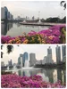 listing thumbnail image 16
