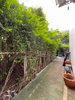 listing thumbnail image 20