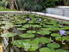 listing thumbnail image 28