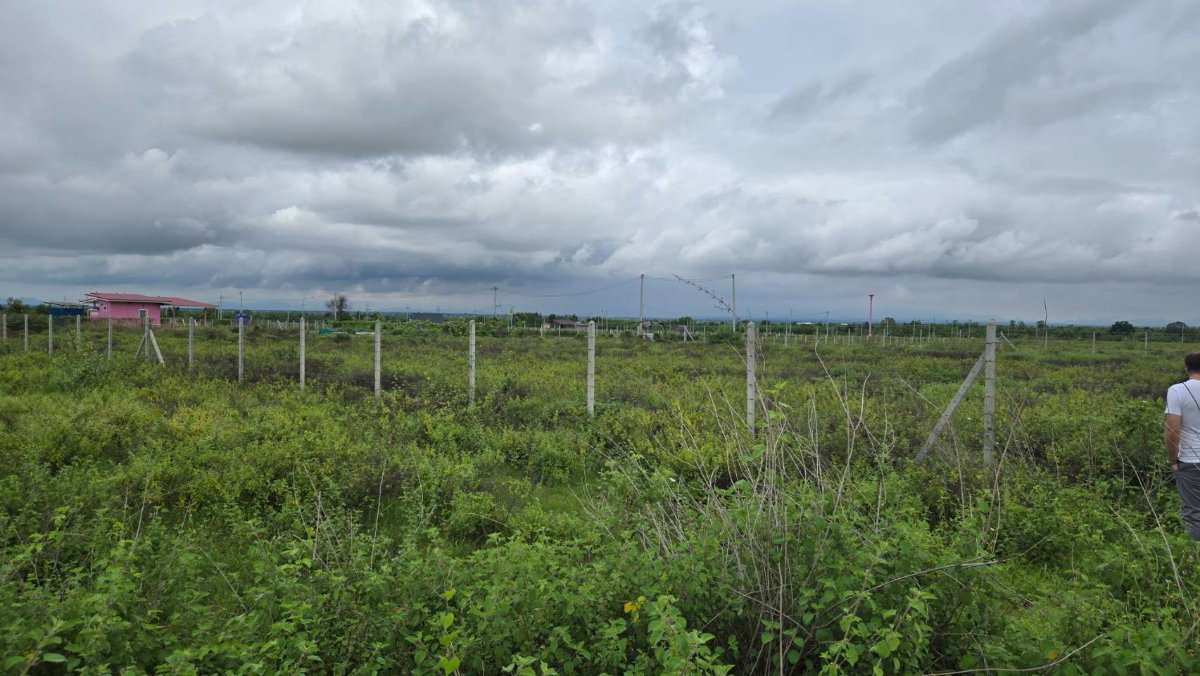 picture Land for Sale in Lao Khwan, Kanchanaburi – 3 Rai 3 Ngan, Corner Plot with Mountain View - 4/6