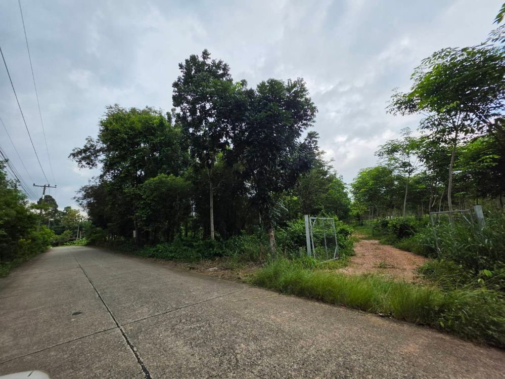 รูป ขายที่ดิน 5 ไร่ มีโฉนด ทำเลดี จังหวัดระยอง ใกล้แหล่งท่องเที่ยวบ้านเพ-เกาะเสม็ด - รูปที่ 6/15