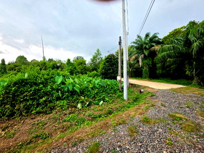 ที่ดิน นิคมหลักชัยเมืองยาง : ขายที่ดิน 5 ไร่ มีโฉนด ทำเลดี จังหวัดระยอง ใกล้แหล่งท่องเที่ยวบ้านเพ-เกาะเสม็ด