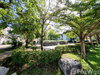 listing thumbnail image 32