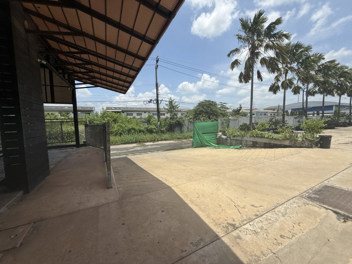 picture LAND FOR RENT 4 RAI 2 NGAN 36 SQ.WAH | BEAUTIFUL PLOT WITH MAIN ROAD FRONTAGE  - 17/20