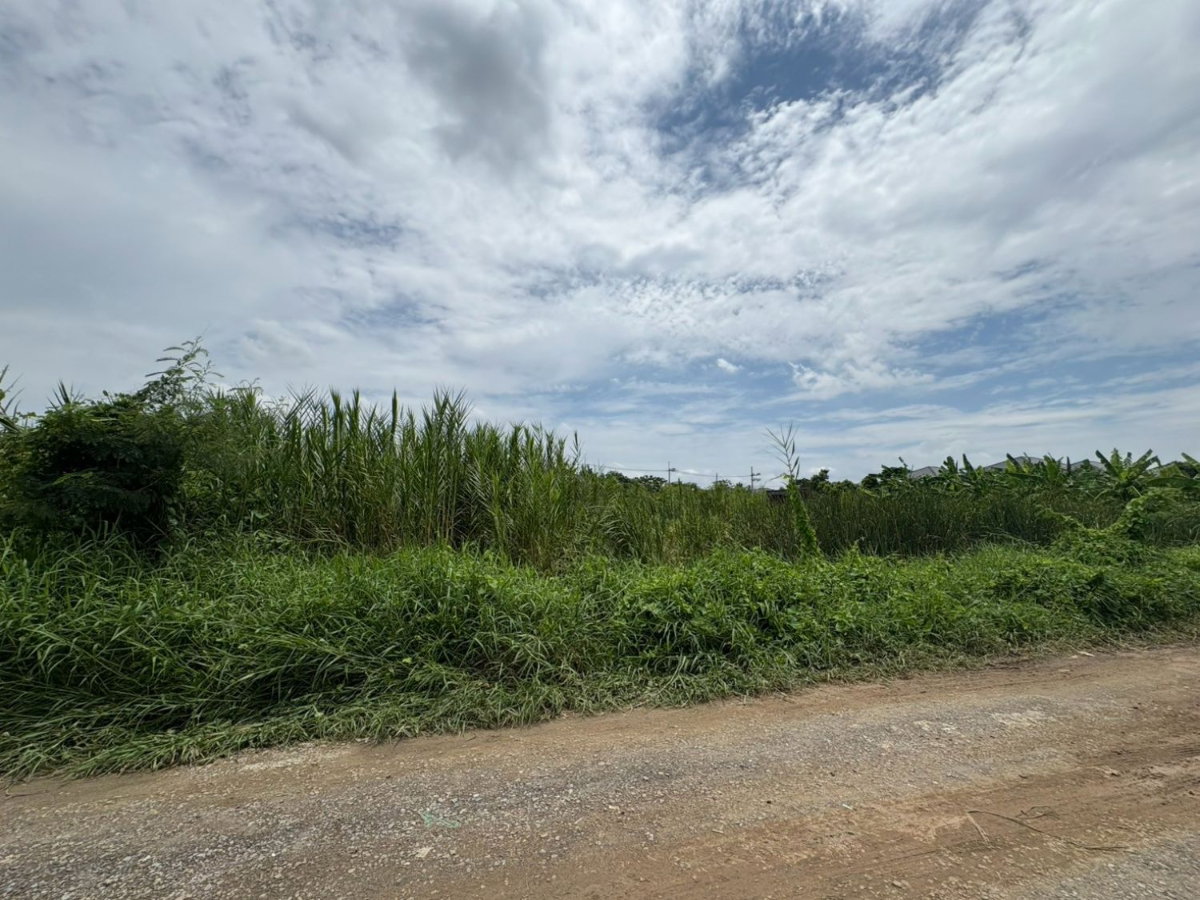 รูป ขายที่ดินเปล่า 90  ตรว. เลียบคลองทวีวัฒนา - รูปที่ 2/6