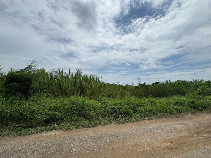 ขายที่ดิน 90 ตร.ว. เขตทวีวัฒนา