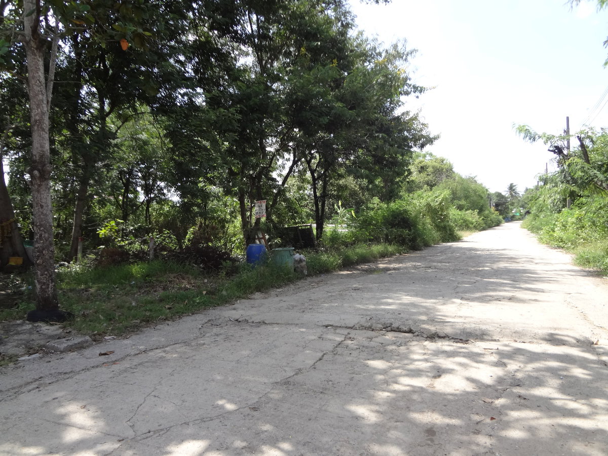 รูป ที่ดินถมแล้ว ซ.บรมราชชนน76(สุขทวี)ก่อนแยกพุทธมณฑลสาย3ศาลาธรรมสพน์ ทวีวัฒนา 137ตารางวาใก้ลตลาดธนบุรี2,ม.มหิดลศาลายา เหมาะปลูกบ้าน,โกดัง - รูปที่ 3/13
