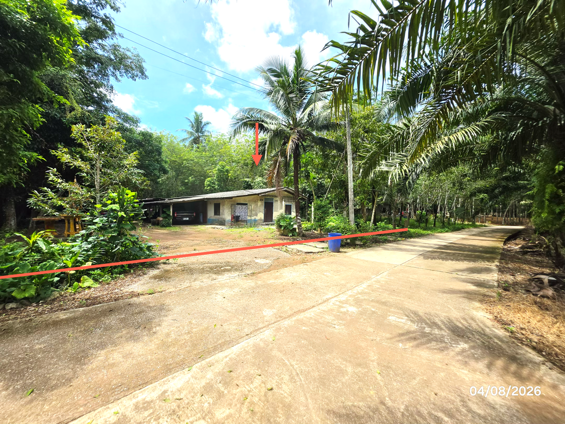 picture HOME 834 Sq.w. Chaiburi Surat Thani for 1.2M - 7/15