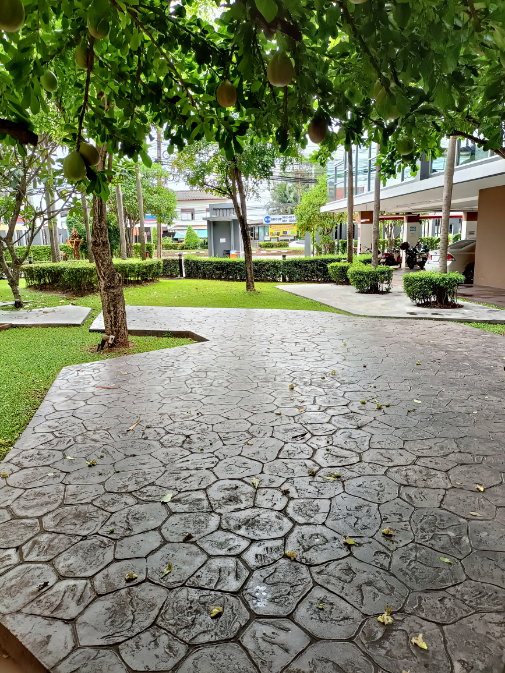 รูป ให้เช่าพลัสคอนโดมิเนียมสุราษฎร์ธานี - รูปที่ 15/15
