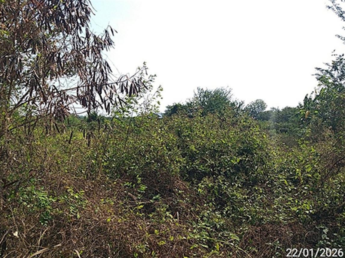 picture LAND 180 Sq.w. Bang Khla Chachoengsao for 900,000 - 16/21