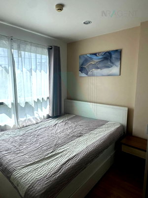 Condos for rent : For Rent Condo LUMPINI VILLE ONNUT - PHATTHANAKAN Building C, Floor 3,1 bed room, Room size 23 sqm