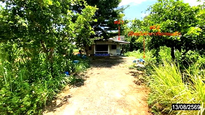 Houses for sale Si Chiang Mai Nong Khai : HOME 222 Sq.w. Si Chiang Mai Nongkai for 712,000