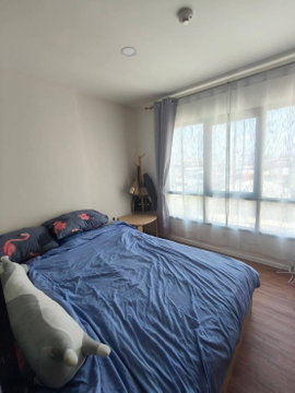  ALIVE SUKHUMVIT 76  for rent ✨ Fully furnished