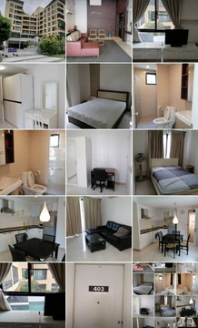 AA24524 | 1 ห้องนอน | 1 ห้องน้ำ | BTS Udom Suk | 45 ตร.ม. | 13,000 บาท/เดือน | ชั้น 8 — The Sense Sukhumvit กรุงเทพฯ