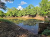 listing thumbnail image 14