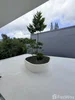 listing thumbnail image 30
