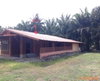listing thumbnail image 4