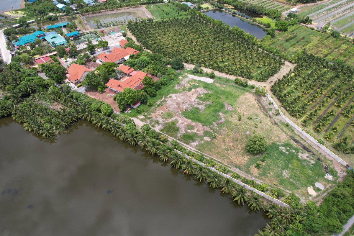 รูป ขายบ้านเดี่ยว 3 หลัง พร้อมที่ดิน 10 ไร่ (ผังสีชมพู) นาดี สมุทรสาคร เหมาะสร้างโรงงาน โกดัง - รูปที่ 1/32