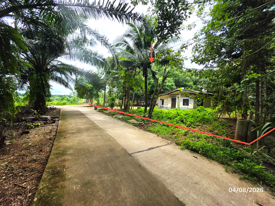 picture HOME 834 Sq.w. Chaiburi Surat Thani for 1.2M - 11/15