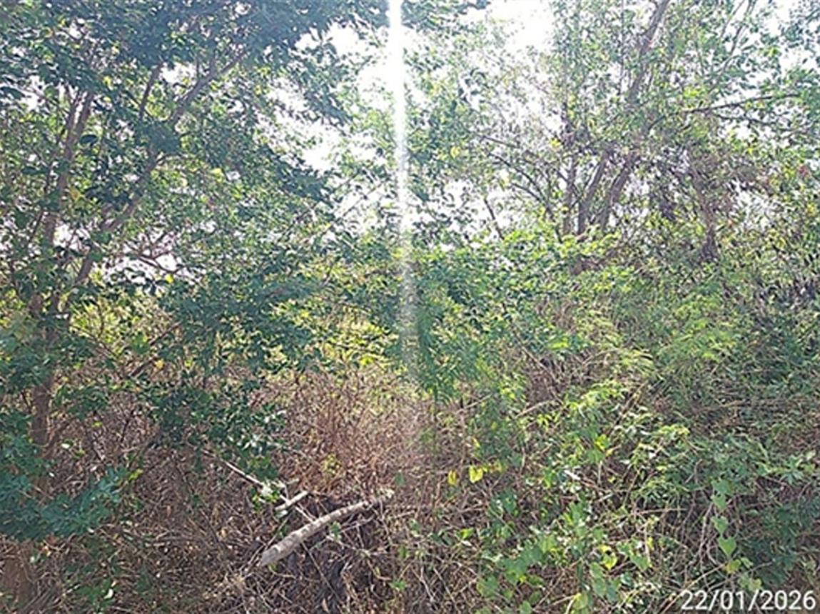 picture LAND 180 Sq.w. Bang Khla Chachoengsao for 900,000 - 17/21