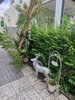 listing thumbnail image 11