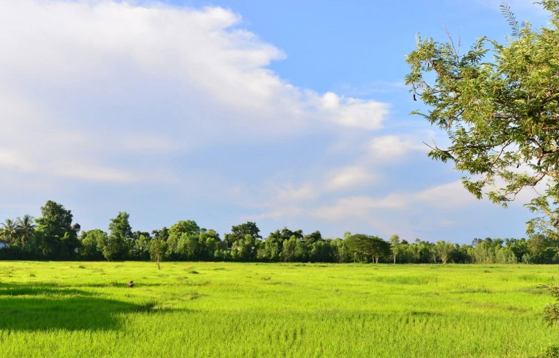 รูป ที่ดิน 75 ไร่ ใกล้เขตเศรษฐกิจ อ.เชียงของ จ.เชียงราย ประเทศลาวและจีน - รูปที่ 2/7