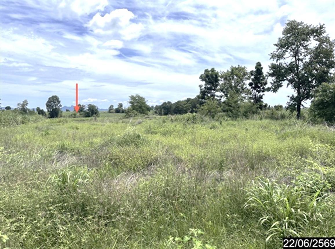 picture LAND 4569 Sq.w. Si Chomphu Khon Kaen for 1.6M - 17/21