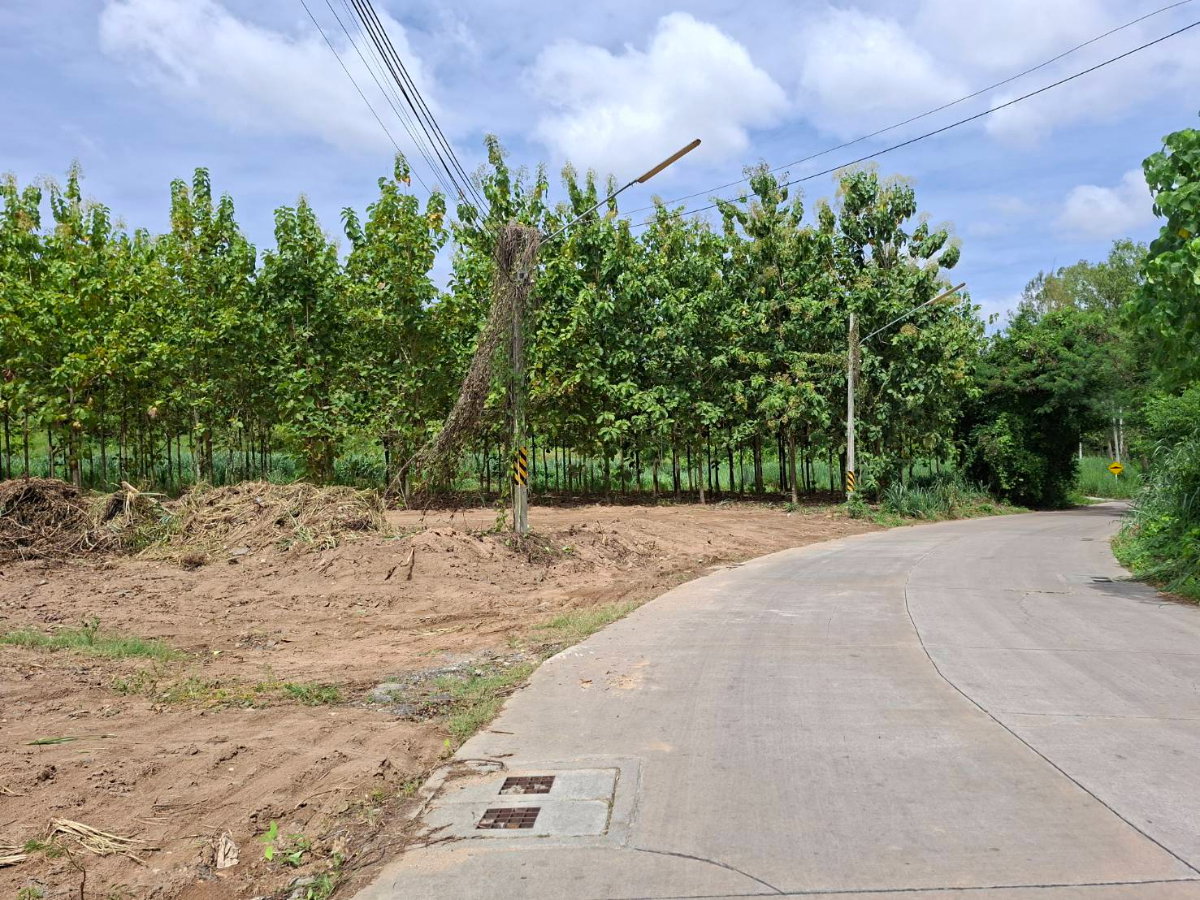 รูป ที่ดิน 2 งาน บ่อวิน ใกล้ถนนบ่อวิน- ยางเอน ราคา 1.4 ล้าน - รูปที่ 5/5