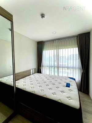 Condos for rent : For Rent Condo PLUM CONDO SUKHUMVIT 97.1 Building A, Floor 4,1 bed room, Room size 27 sqm