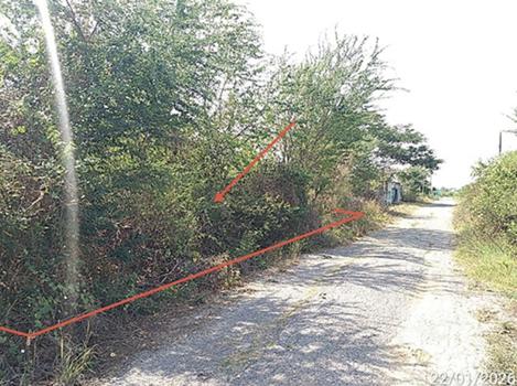 picture LAND 180 Sq.w. Bang Khla Chachoengsao for 900,000 - 18/21