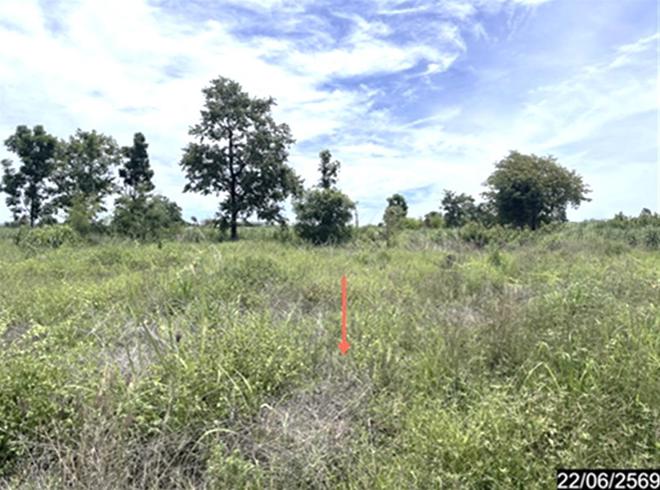 picture LAND 4569 Sq.w. Si Chomphu Khon Kaen for 1.6M - 7/21