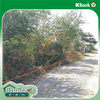 listing thumbnail image 18