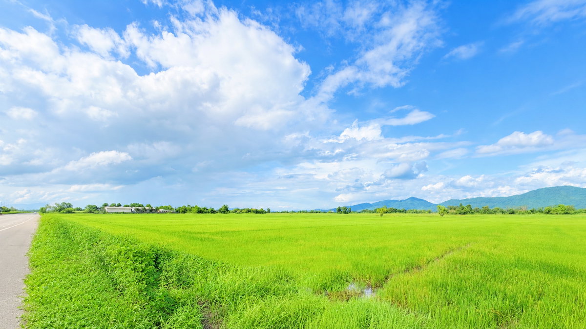 รูป ที่ดิน 75 ไร่ ใกล้เขตเศรษฐกิจ อ.เชียงของ จ.เชียงราย ประเทศลาวและจีน - รูปที่ 1/7