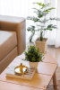 listing thumbnail image 9