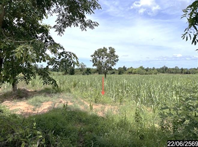 picture LAND 4569 Sq.w. Si Chomphu Khon Kaen for 1.6M - 8/21