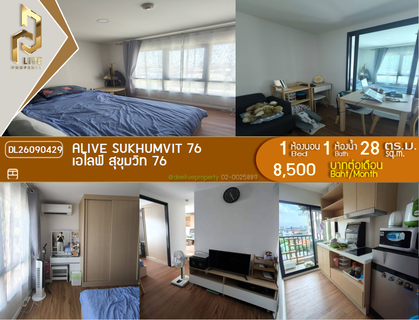 รูปภาพ DL26090429 Condo for rent, ALIVE SUKHUMVIT 76 near BTS Bearing, ready to move in, call urgently 0653619502 LineID @952jdxxk