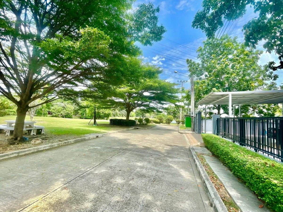 รูป 🏡✨ FOR RENT | MASTERPIECE RAMA 9 3 ห้องนอน 4 ห้องน้ำ บ้านเดี่ยวหลังมุม | เฟอร์ครบ | พร้อมเข้าอยู่ 🎓 ติด Stamford International University - รูปที่ 3/14