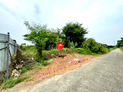 ที่ดิน แม็คโคร บางบัวทอง : ที่ดิน วิวทุ่งนา ถนนบ้านกล้วย-ไทรน้อย ซอยนาทอง 200 ตรว. ถมแล้ว เข้าซอยแค่ 200 เมตร เหมาะปลูกบ้านสวนเกษตร  