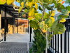 listing thumbnail image 21