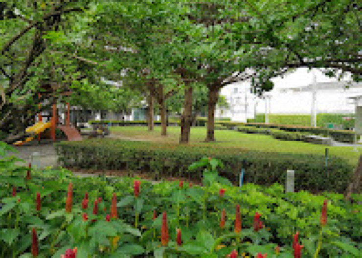 รูป Flora Wongsawang for rent ฟลอร่า วงศ์สว่าง ให้เช่า MRT สายสีม่วง ติวานนท์ 450 เมตร  MRT สายสีม่วง สถานีวงศ์สว่าง 500 เมตร - รูปที่ 39/41