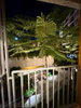 listing thumbnail image 16