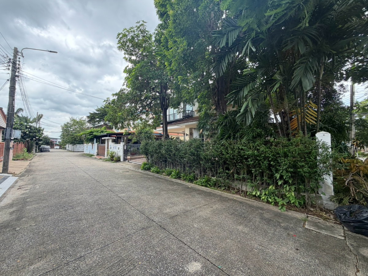 รูป หาบ้านเช่ามีสวน เลี้ยงสัตว์ได้ ทำเลวัชรพล หลังนี้ตอบโจทย์มาก! นันทวัน วัชรพล - รูปที่ 4/25