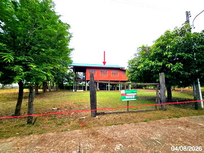 บ้านเดี่ยว สุโขทัย : บ้านเดี่ยว 300 ตร.วา เมืองสุโขทัย สุโขทัย 1M