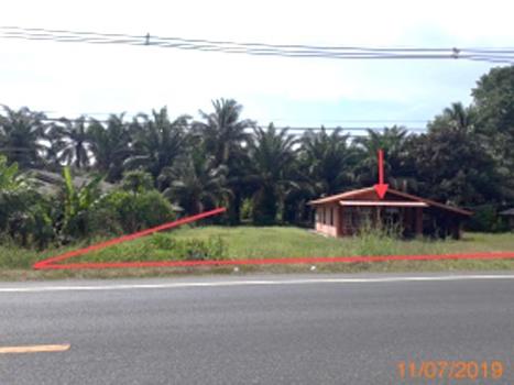 รูป บ้านเดี่ยว 1308.8 ตร.วา คลองท่อม กระบี่ 6.1M - รูปที่ 12/15