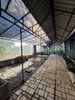 listing thumbnail image 21