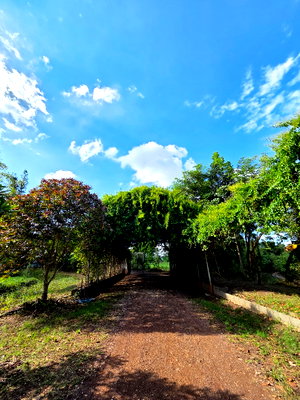 ที่ดิน เมืองอุดรธานี อุดรธานี : ขายที่ดิน ยกโครงการ สามพร้าว 14 ไร่