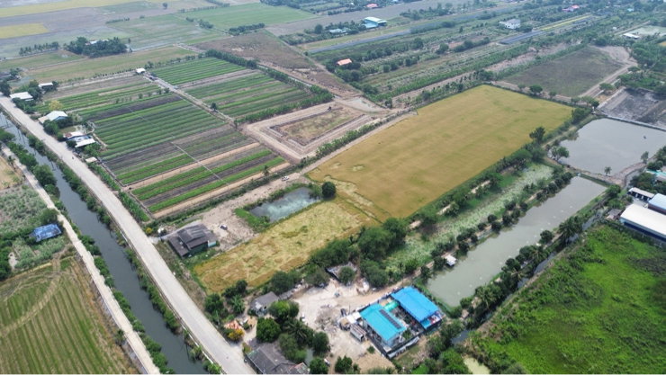 รูป ขายที่ดินถมแล้ว ต.หนองเพรางาย อ.ไทรน้อย จ.นนทบุรี - รูปที่ 2/3