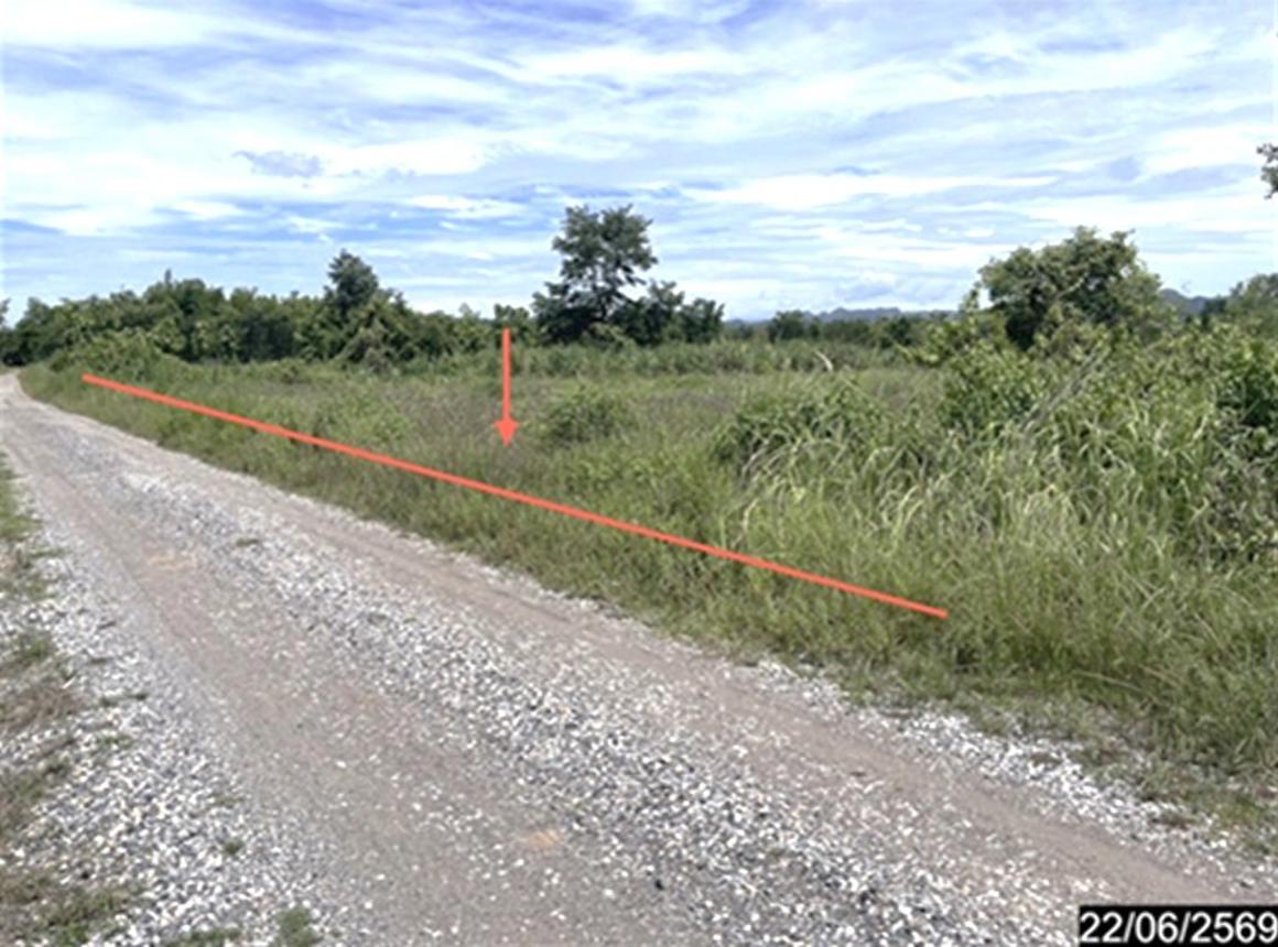 picture LAND 4569 Sq.w. Si Chomphu Khon Kaen for 1.6M - 12/21