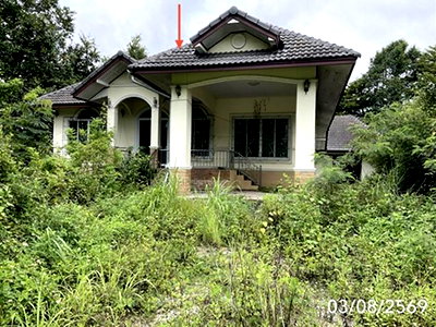 บ้านเดี่ยว เชียงราย : บ้านเดี่ยว 3722 ตร.วา พญาเม็งราย เชียงราย 6M